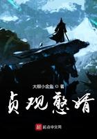 贞观憨婿最新