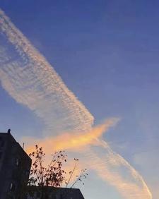 神凰赋 翩翩浪子