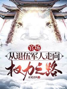 权力巅峰之路免费全文阅读