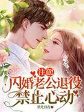 闪婚老公不离婚免费阅读