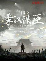 三国之季汉风流