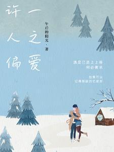 许一人以偏爱