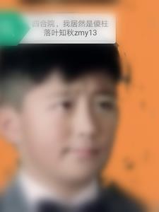 四合院我傻柱智商上线