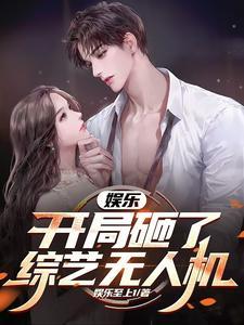 娱乐开局就开战斗机免费全文
