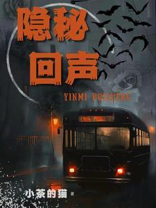 隐秘的角落回声