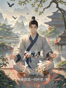 鹏辰星艺是啥公司