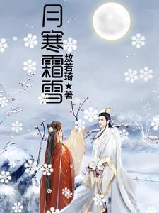 寒夜月如雪
