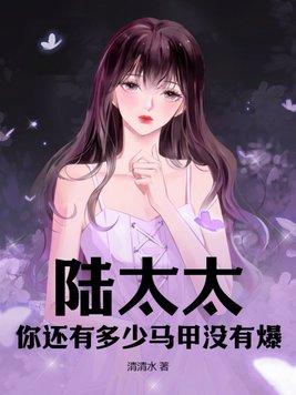 陆太太你还有多少马甲没有爆百度