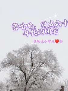 苦哈哈穿成六十年代的团宠 夜晚也会有光