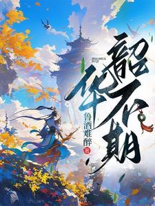 韶华不在什么意思