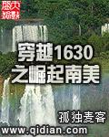 穿越1630之崛起南美内孤独麦客