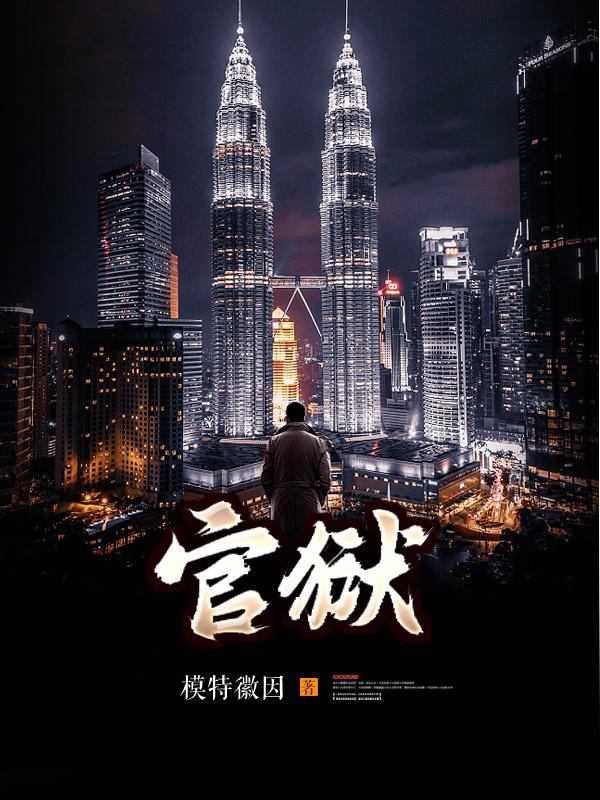 官场孽缘阅读