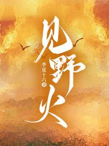 向野火TXT
