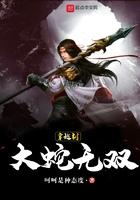 大蛇无双之女娲失策