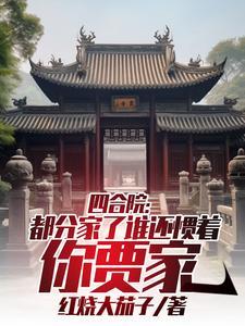 四合院都分家了谁还惯着你贾家TXT