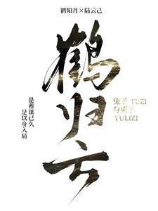 鹤归云深短剧全集