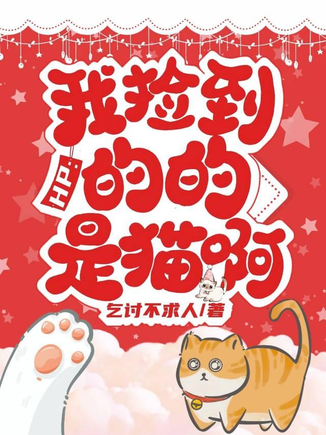 我捡了一只猫