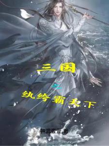 三国之制霸天下