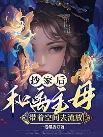抄家后和离主母带着空间去流放崔之玉