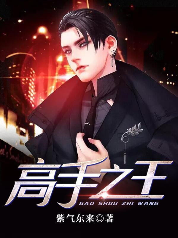 高手之王TXT全集目录