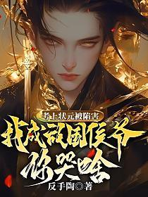 考上状元就回来娶我吧十叁至晚