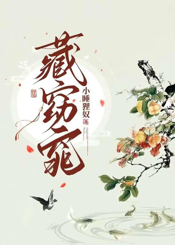 藏窈窕讲的什么