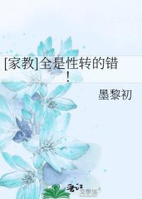 家教性转文