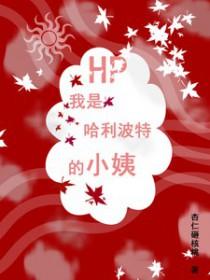 哈利波特之我是哈利波特