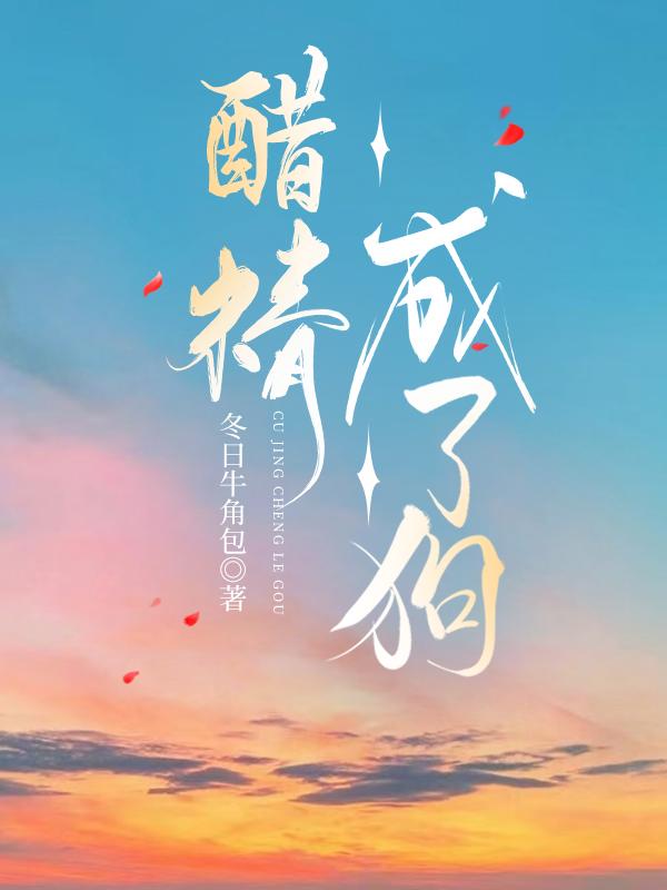 醋精 txt