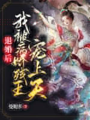 退婚后我被病娇残王宠上天TXT