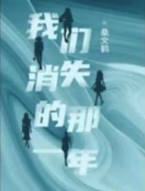 我们消失的那一年 桑文鹤