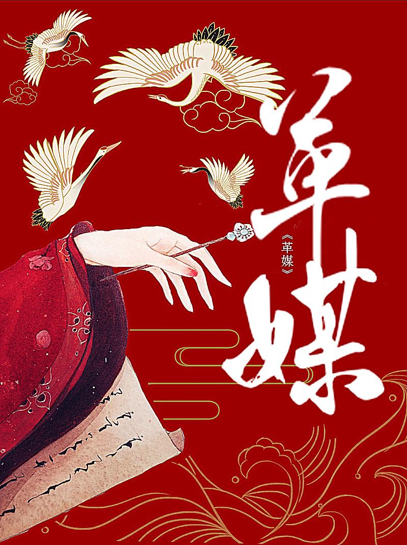 媒婆被状元郎强取豪夺后by君可乐