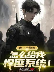 怎么给我悍匪系统TXT