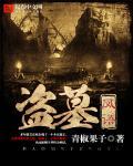 盗墓风流记