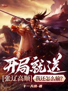 我张辽开局娶