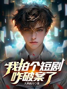 破案有系统的
