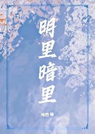 明里暗里来的意思