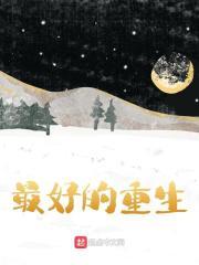 最好的重生流