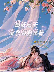 妖帝宠妃