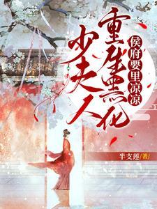 少夫人轰动全城了