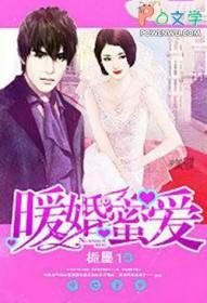 暖婚蜜爱陆少的心尖宠全文免费阅读