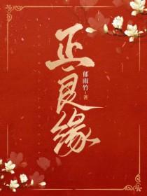 正良缘郁雨竹笔趣阁