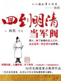 回到明朝当军阀免费阅读