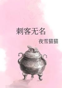 刺客无名夜雪猫猫讲的什么