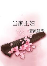 当家主妇女角色