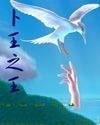 卜王之王易学专家