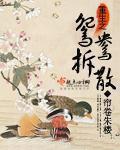 重生之鸳鸯拆散有声