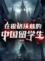 在霍格沃兹的中国留学生txt