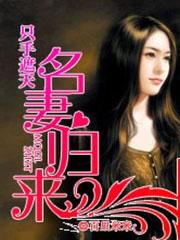 只手遮天名扬版