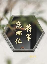 将军是谁